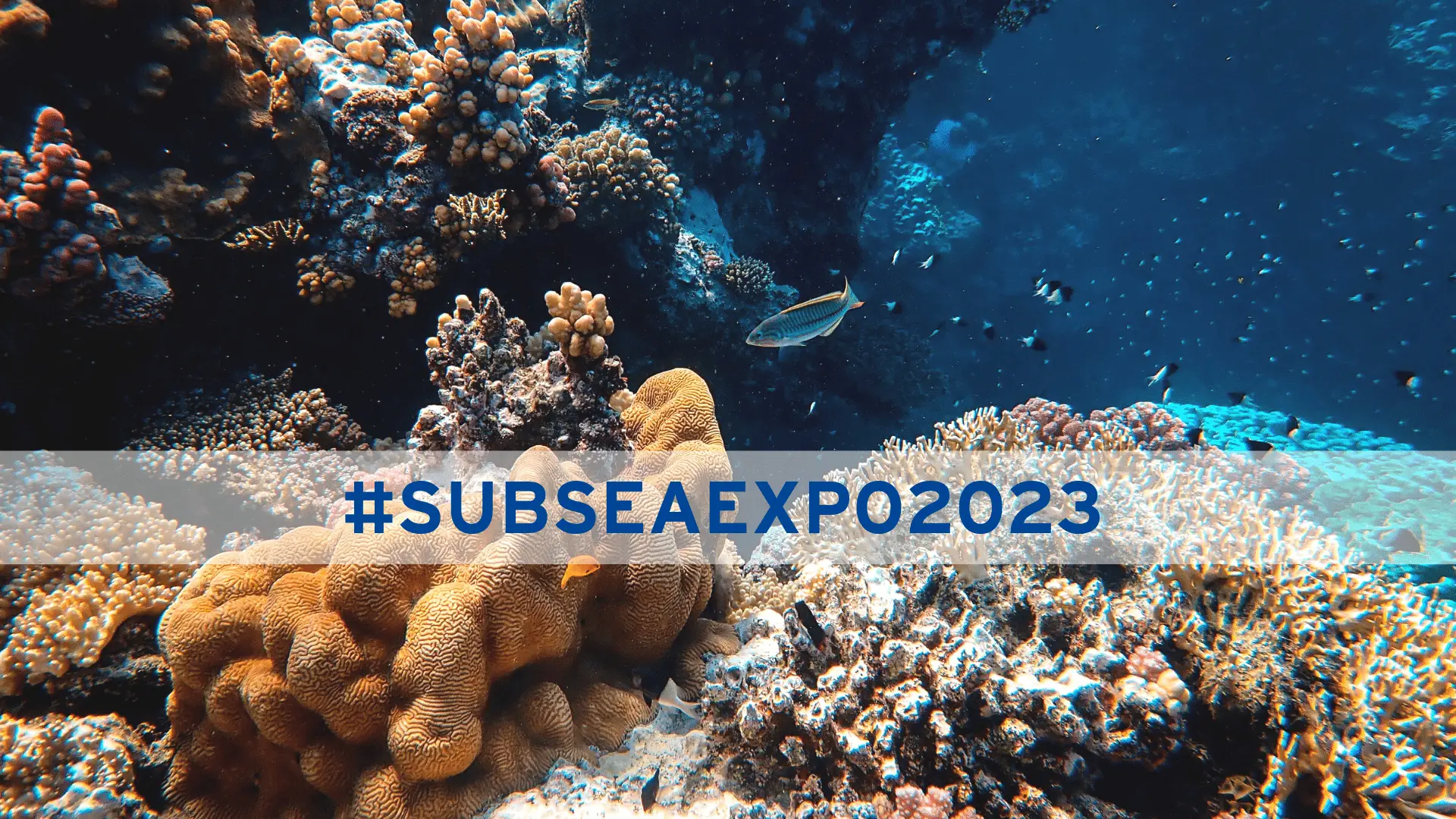Subsea Expo 2023