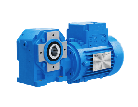 Worm gearmotor