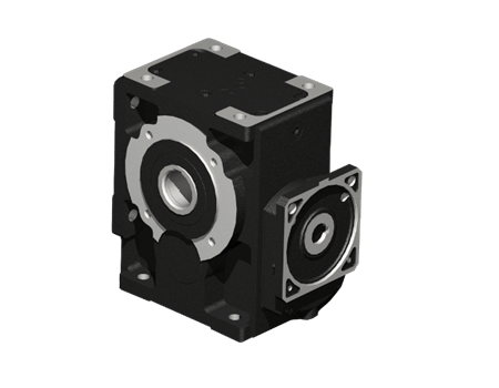 Worm servo gear reducers