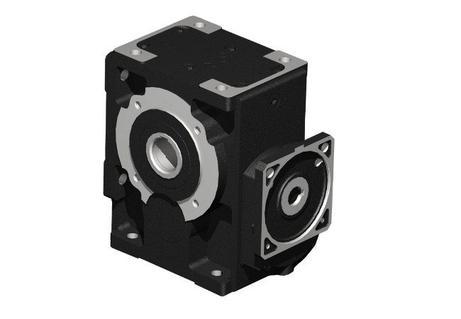 Worm servo gear reducer